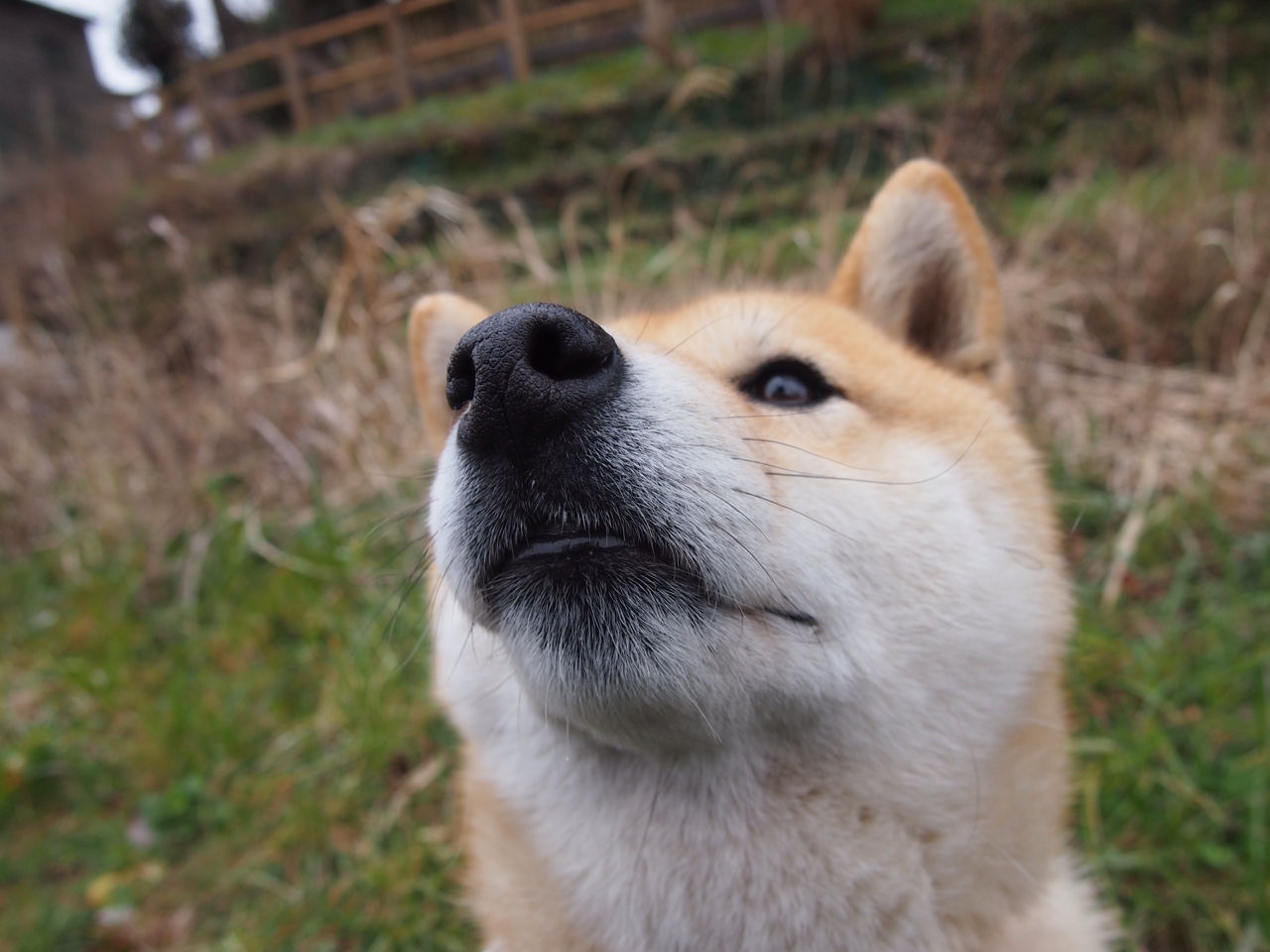 布鲁诺·卡博克洛在巴黎奥运会小组赛中展现高效得分能力，布鲁诺-卡博克洛