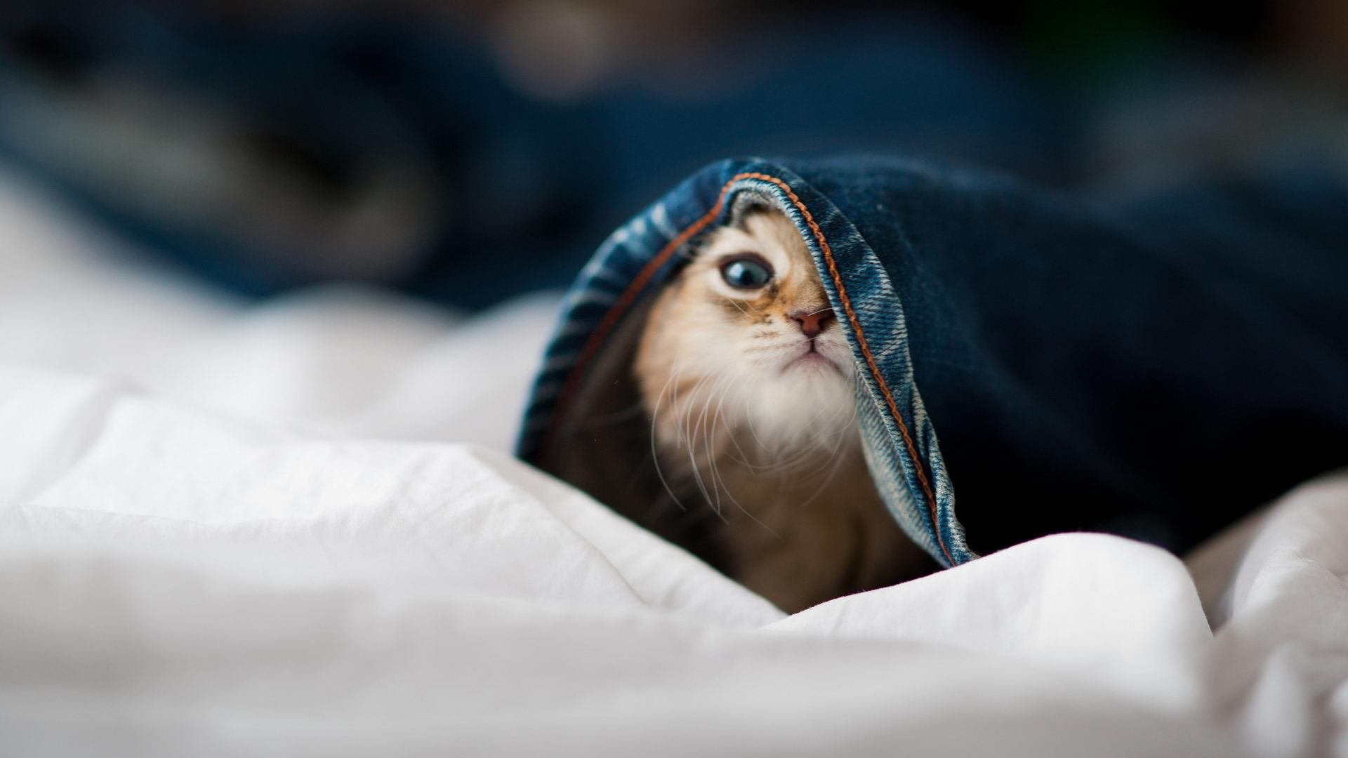 九游下载官网-场上花絮：幕后不为人知的小趣事，片场花絮