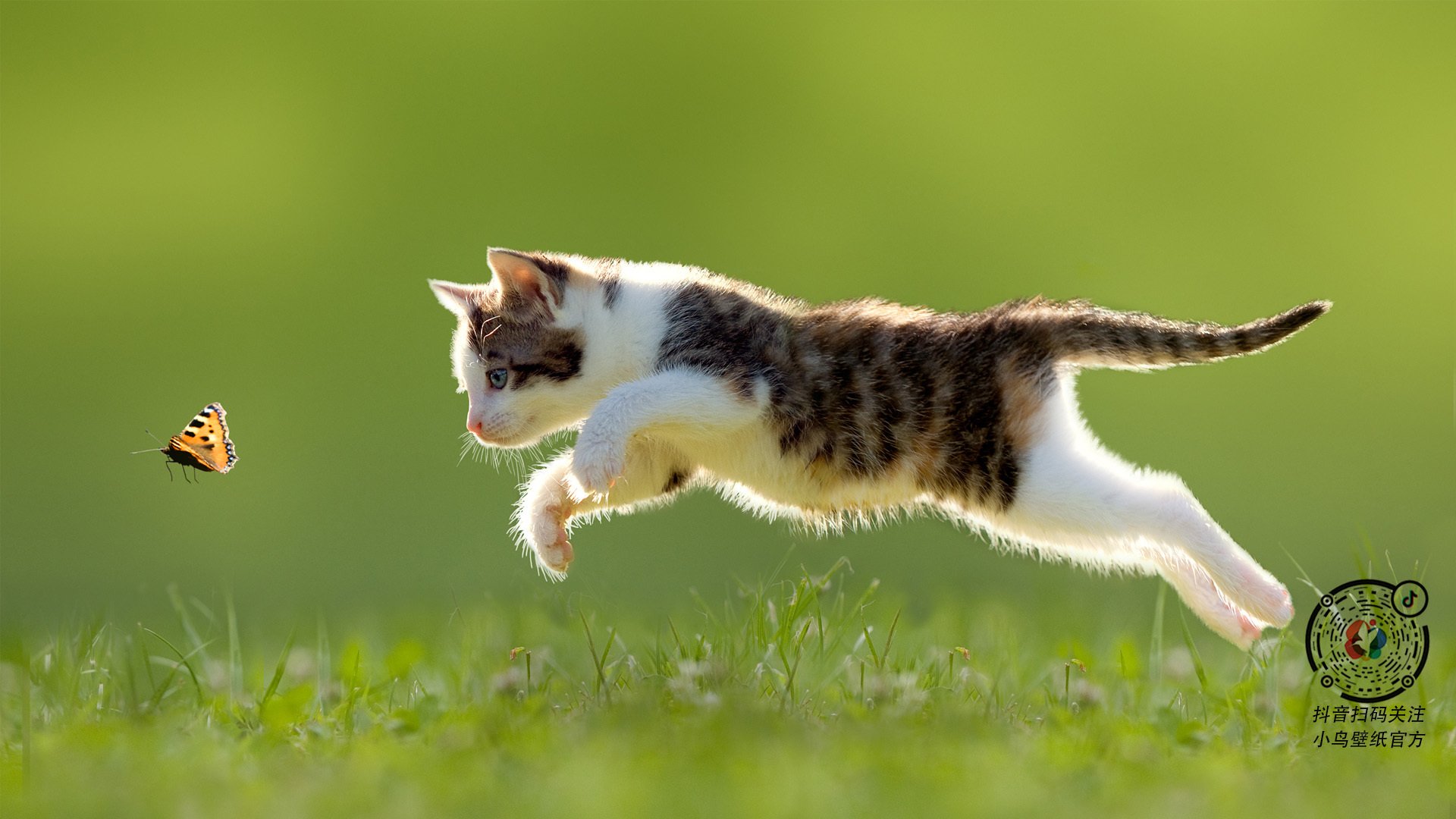 拜仁锋线新星成绩斐然,未来可期,拜仁新秀